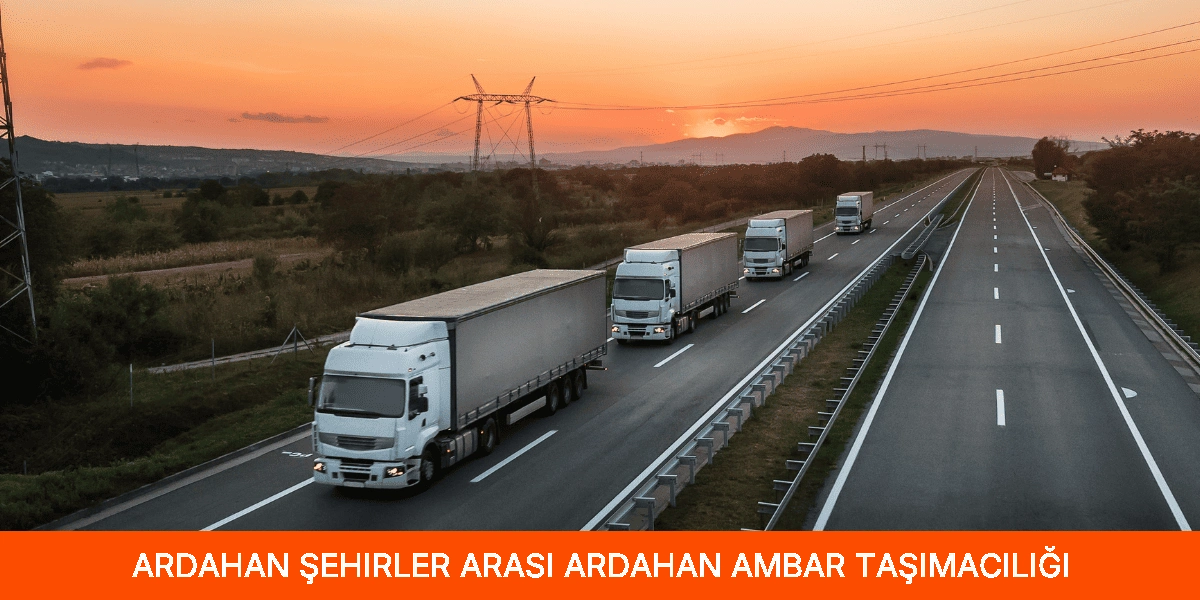 Şehirler Arası Ardahan Ambar Taşımacılığı